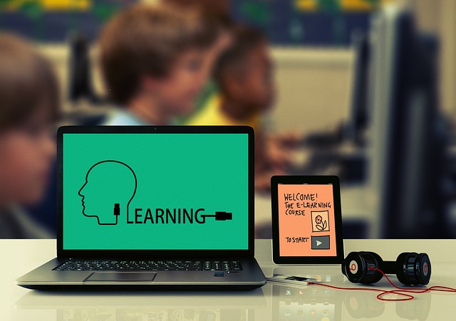 elearningsystem-kakaku-1