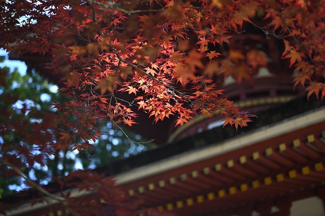 inboundtaisaku-kadai-2