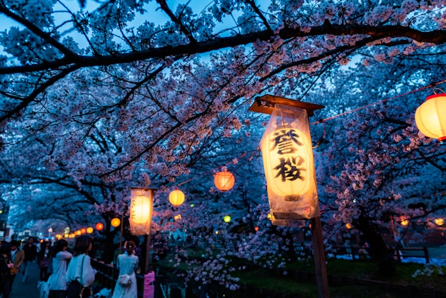 inboundtaisaku-seikouzirei-2