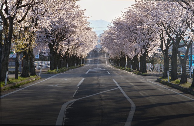 kannkouti-inboundtaisaku-2