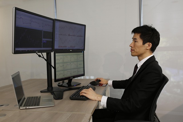 manualsakuseisoft-2