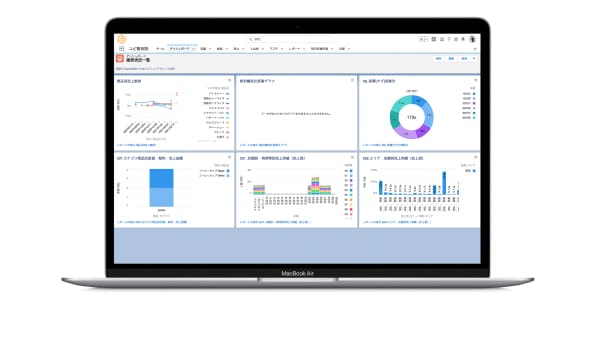 Salesforce専用のクラウドサービス