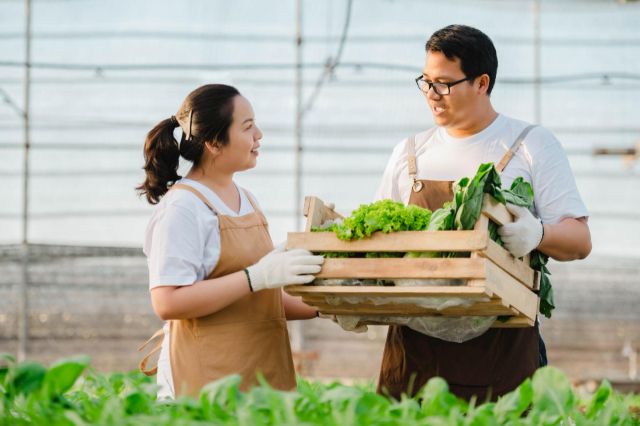 野菜を持つ男女